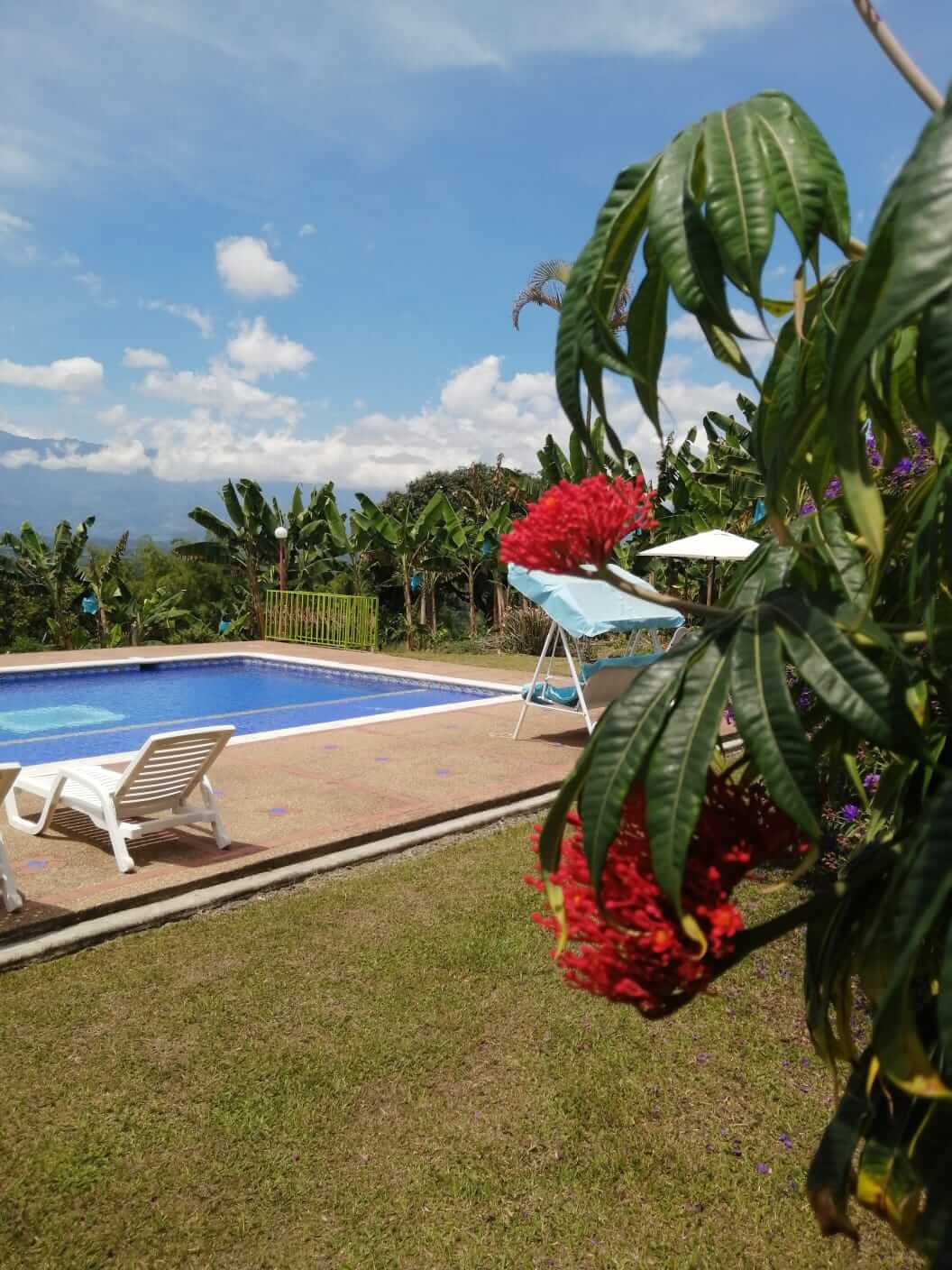 finca-alojamiento-en-el-eje-cafetero